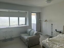 V On Shenton (D1), Apartment #509534391